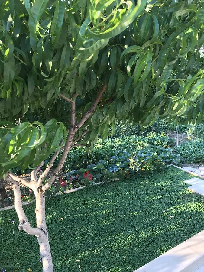 ספליט Apartment Taras